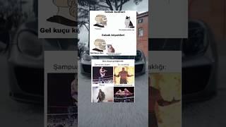 kediler neden böyle?