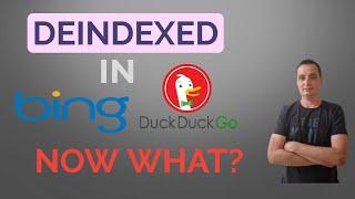 Deindexed In Bing and DuckDuckGO - Now What?