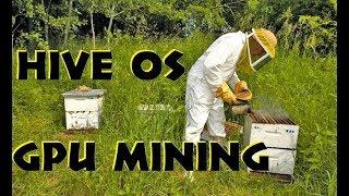 Hive OS - Free Linux GPU Mining Operating System, an SMOS and Nicehash alternative [Round 2]