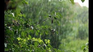 Sounds of rain on the roof. Relaxing sounds for sleeping