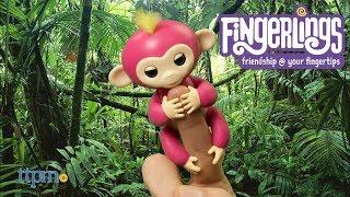 Fingerlings - Boris & Bella from WowWee