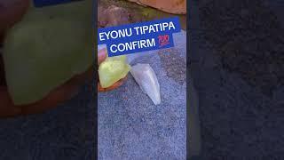 Eyonu tipatipa confirm