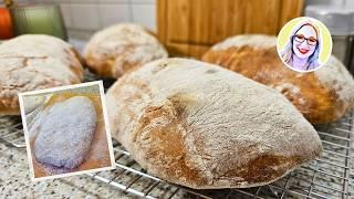 Saftige Ciabatta mit Sauerteig & Hefewasser | Tipps & Tricks für Perfekte Brote 