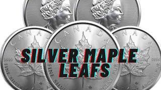 Should We Be Stacking the 2023 Canadian Silver Maple Leafs? My thoughts.