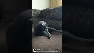 сядь красиво)))