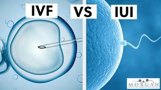 IUI vs IVF: What's the difference?