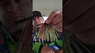 motley fishing tungsten jigs