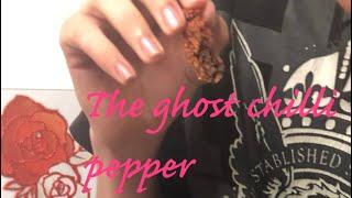 The ghost chilli challenge ️