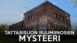 Tattarisuon ruumiinosien mysteeri