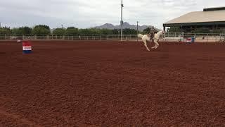 Outdoor Barrel Racing Queen Creek AZ