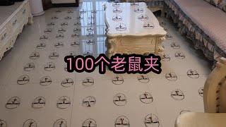 买了100个老鼠夹放家里，这回看看老鼠往哪跑#开箱阿良 #盲盒开箱 #搞笑