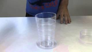 Collapsible Pint Glass