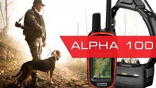 Радиоошейник для охоты Garmin Alpha 100 - реальный тест дальности