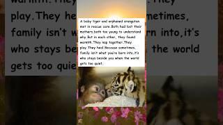Two Orphans Find A Home With Each Other #wholesome #family