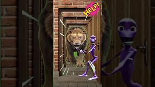 lion and Dame tu Cosita Doordash ll #shorts #vfx #dametucosita #funny