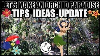 Making My Tropical Orchid Paradise - Ideas For You!