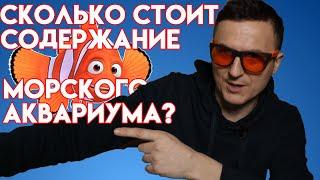 сколько стоит содержание морского аквариума | сколько стоит морской аквариум | морской аквариум