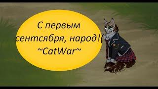 С 1 Сентября, народ! / CatWar