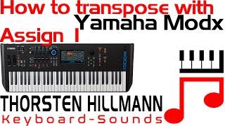 How to transpose Yamaha modx or montage with Assign 1 button