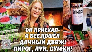 Он приехал и пошёл дачный движ!Пирог,лук,сумки!Муж вернулся не с пустыми руками.СМОТРИ ЧТО В СЕТКАХ!