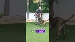 הסודות לפקודת אלי חזקה