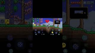 ездовой бур - топ#террария #мемы #terraria #поставьлайк