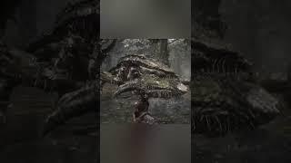 Build de Inteligência vs Build de Força #darksouls #soulslike