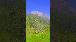 Чоң-Казык жайлоосу, Кара-Кулжа району. #travel #mountains #kyrgyzstan #nature #drone