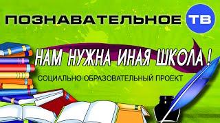 Нам нужна иная школа (Познавательное ТВ, Илья Михнюк)