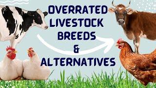 Overrated Livestock Breeds & Alternatives