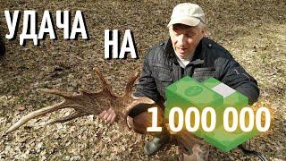 ОБЗОР ЛЕСНЫХ УГОДИЙ С Minelab X-Terra 705