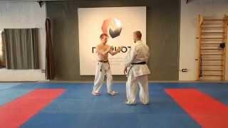 Uechi-ryu karate do / kata Sanchin / explanation / Sanchin kitae