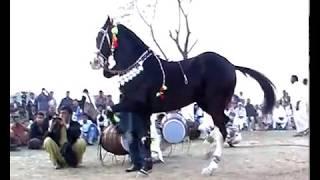 Harchahal Horse dancing maila sakrila Sharif sarai alamgir March 2012.part 2/3