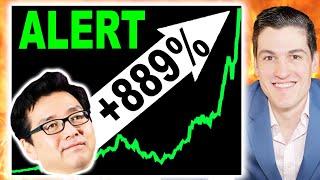 TOM LEE: "THIS STOCK WILL MAKE YOU RICH IN 2025!"