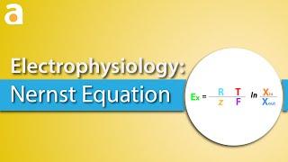 Electrophysiology: Nernst Equation