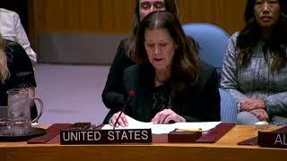 US vetoes UN Security Council resolution on Gaza ceasefire, aid | REUTERS