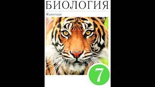 § 37 Опорно-двигательная система