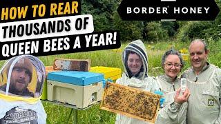 How To Commercially Rear Queen Honey Bees With Border Honey