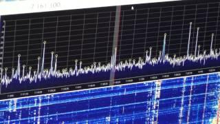 Mini Whip antenna 0.1m vs Delta Loop 33m comparison on 7 MHz