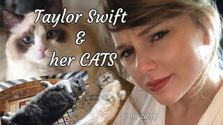 Taylor Swift and her cats | Olivia, Meridith & Benjamin| Cute & Funny moments