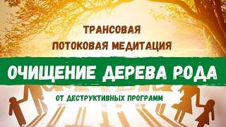 Трансовая потоковая медитация на очищение дерева рода от деструктивных программ | Alla Zelcer