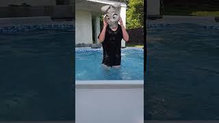 Funny bunny swims in the pool, Tutudog