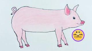 how to draw a pig