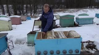 Размножение пчёл.  Из 1 пчелосемьи 4 в одном Владимирском улье лежаке. Легко без тяжестей.