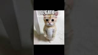 El Gato was a legend