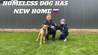 WE HAVE GIVEN A HOMELESS DOG A NEW HOME | English Family Adopt A Stray Dog Here In Orenburg Russia