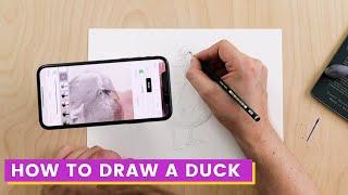 How To Draw a Duck with Da Vinci Eye!