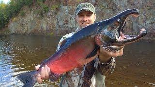 Монстры Сахалина. Рыбалка и приключения на таежной реке. Salmon fishing, monster fish. Часть 2