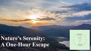 Nature's Serenity: A One-Hour Escape