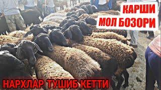 8 Август Кашкадарё Карши Мол Бозори Нархлари Куй Кузи Нархлари / Qarshi Mol Bozori Narxlari 2021